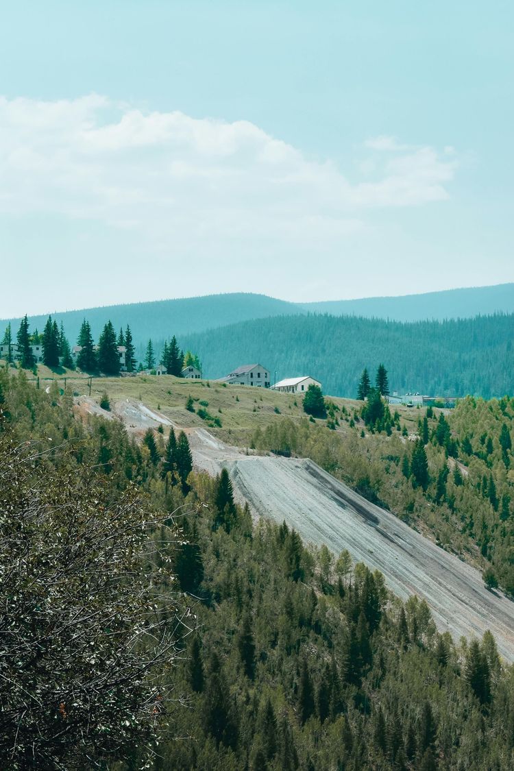 Forest road winding through green hills under a pale blue sky