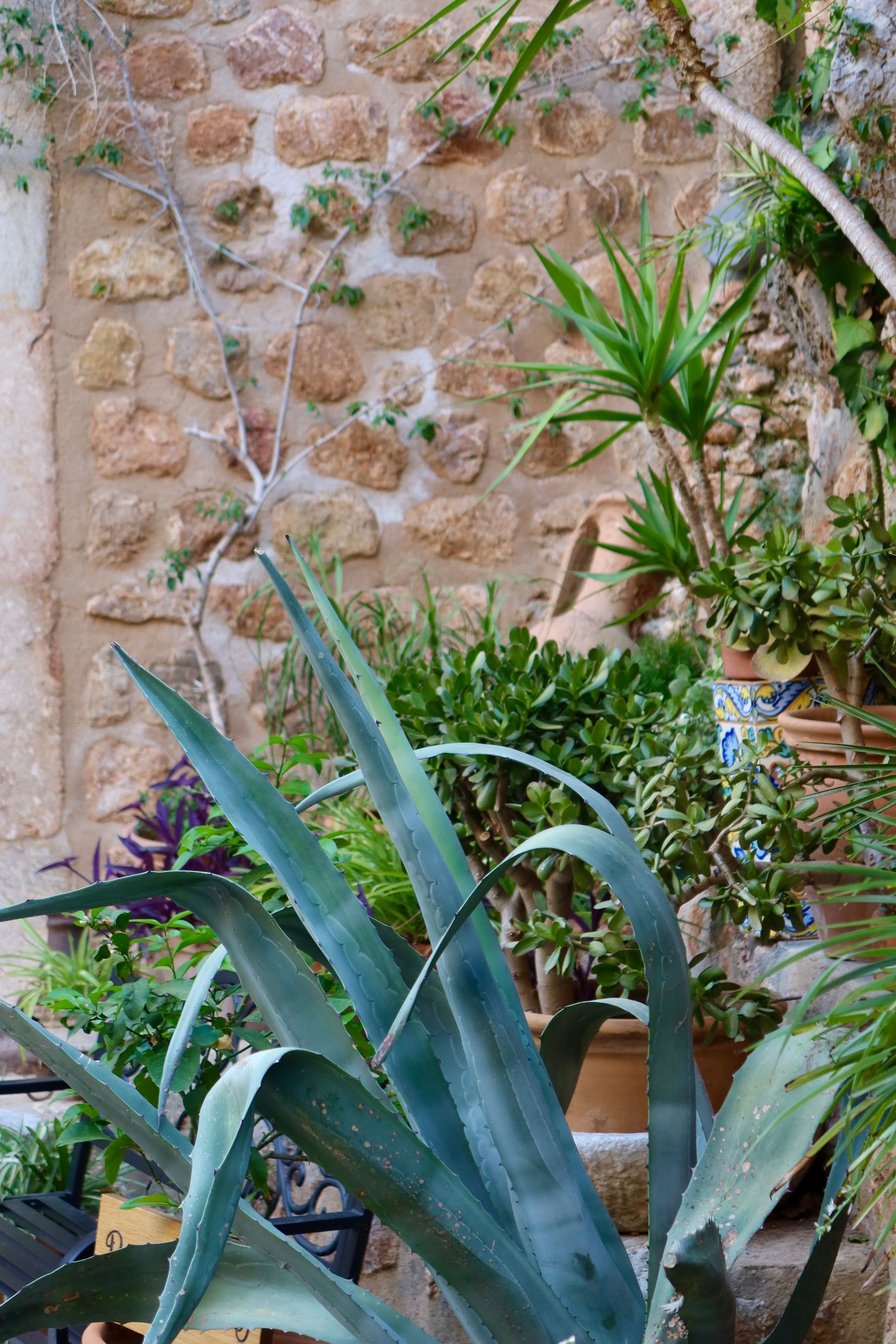 Mallorca Hotel