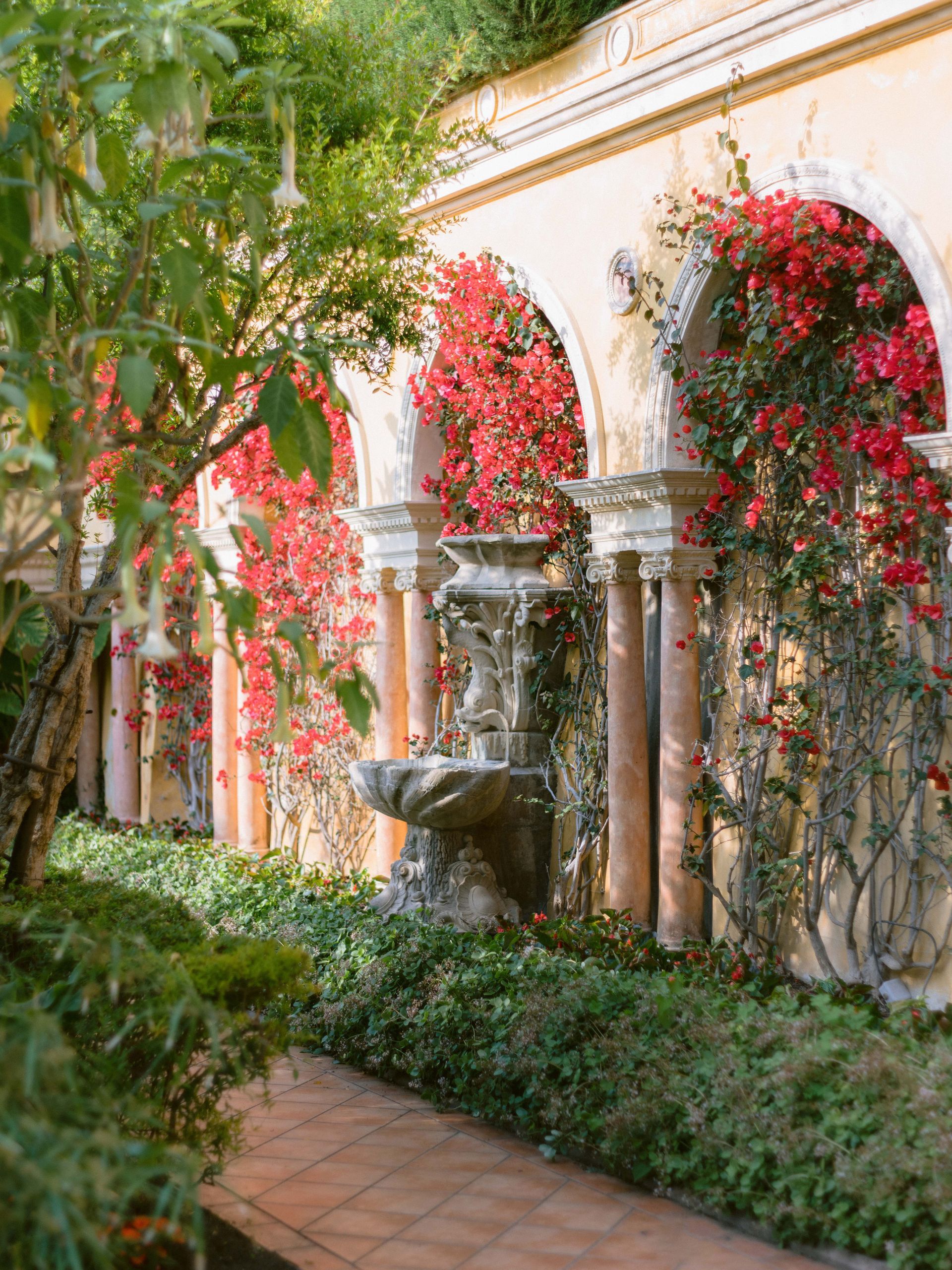 Hotel Garden
