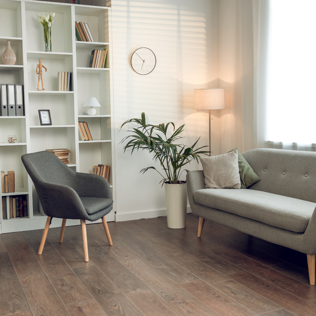 Bright cozy living room with gray sofa, chair, bookshelf, potted plant, and warm lamp light