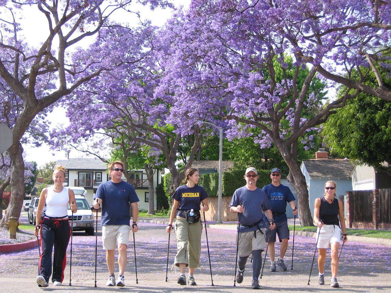 A group of people walking in front of purple flowers