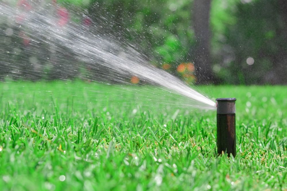 Lawn sprinkler spraying water across a green lawn in the rain