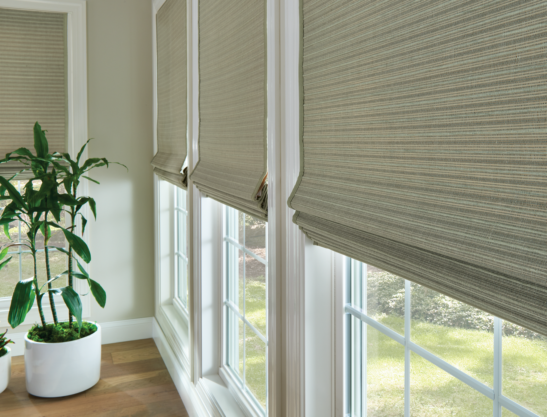 A room with a potted plant and roman shades on the windows.