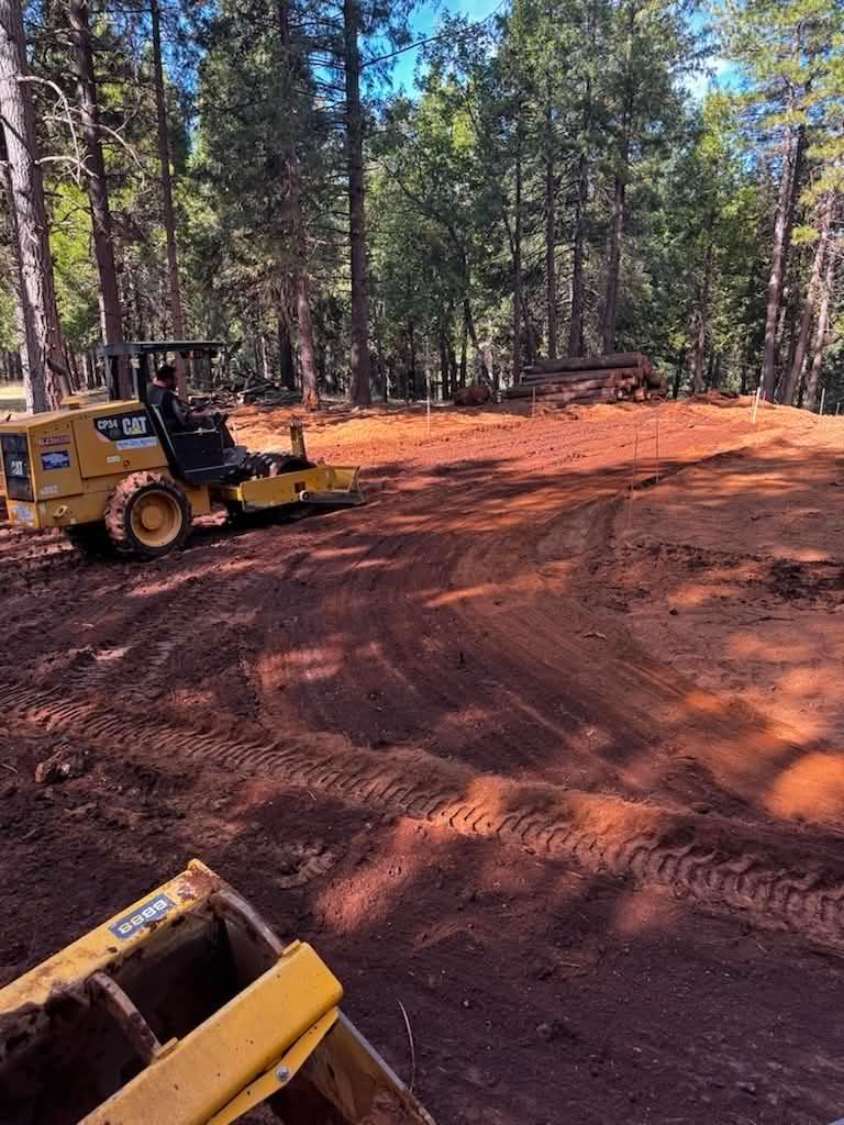 Yellow bulldozer on a red dirt clearing in a pine forest, with another machine in the foreground.