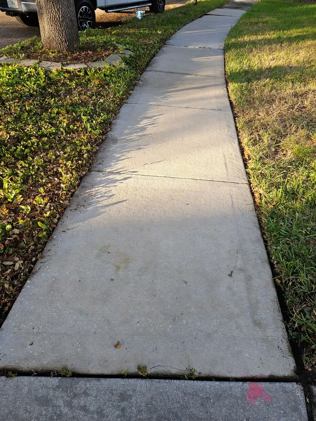 Curved concrete sidewalk bordered by grass and trees in sunlight