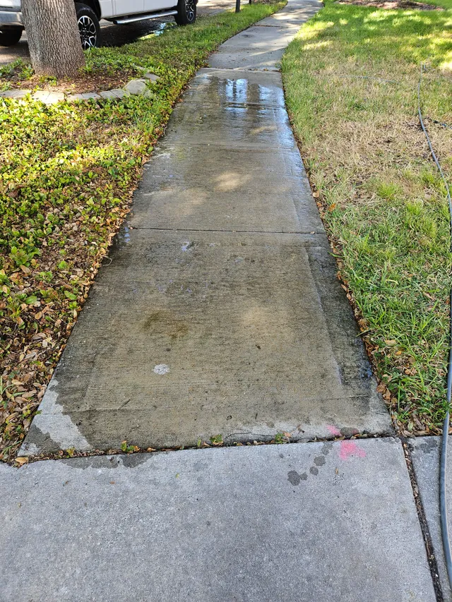 Cracked concrete sidewalk with a puddle, bordered by grass and a tree near a curb.