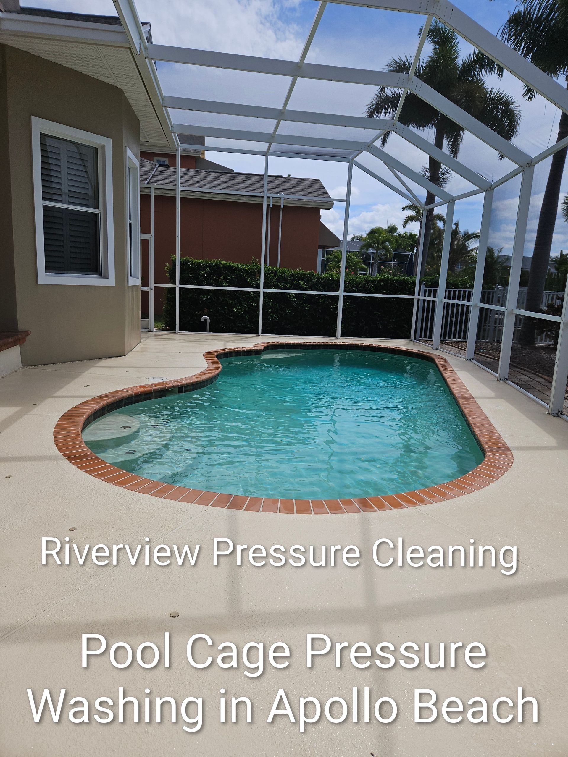 Screened backyard pool with deck and white cage enclosure at a home in Apollo Beach