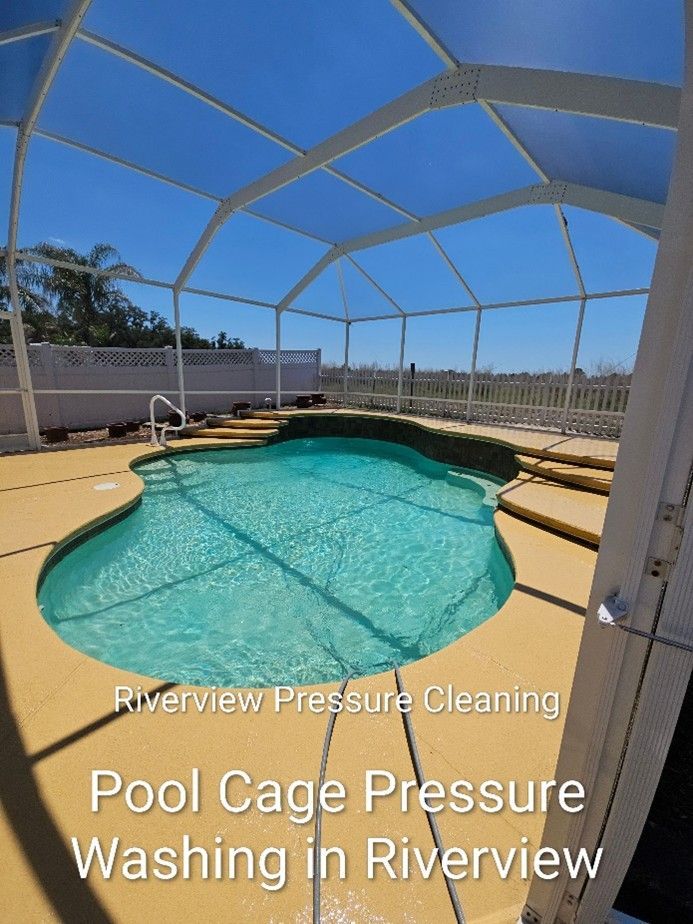 Dirty pool cage screens and deck with algae and spiderweb buildup in Riverview