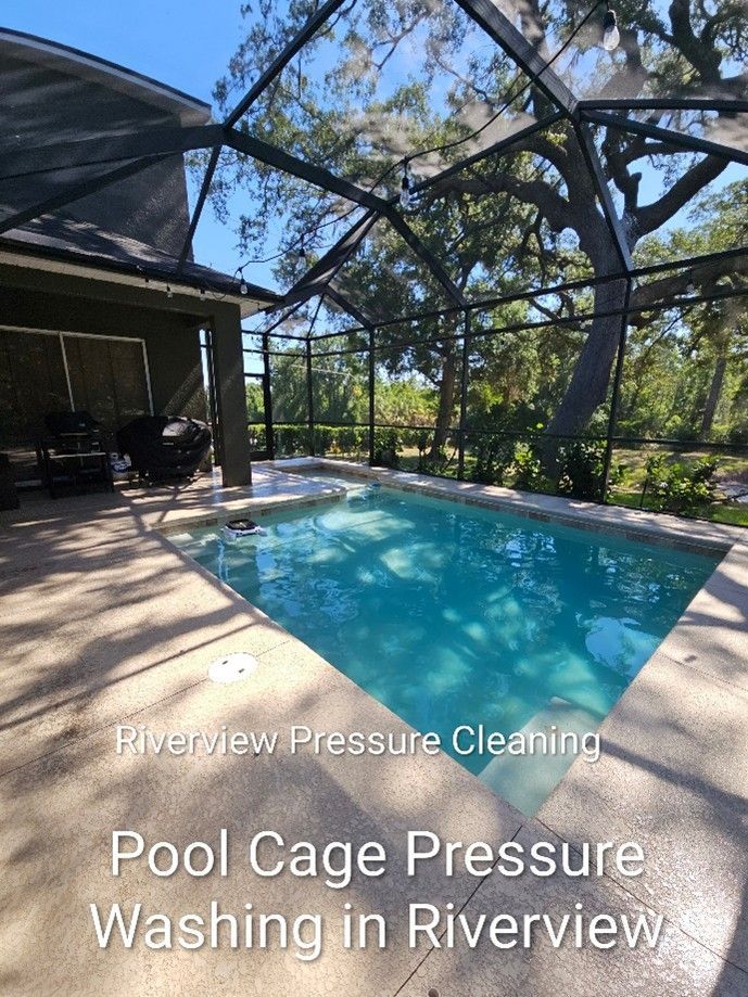 Dirty pool cage screens and deck with pollen and oak debris in Riverview