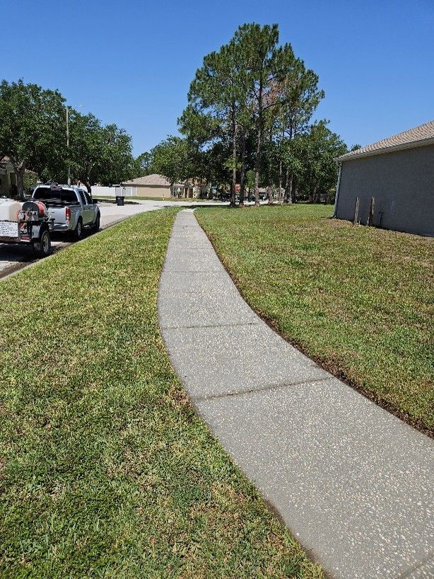Freshly cleaned house in Riverview after professional house pressure washing removed algae, mildew, and dirt