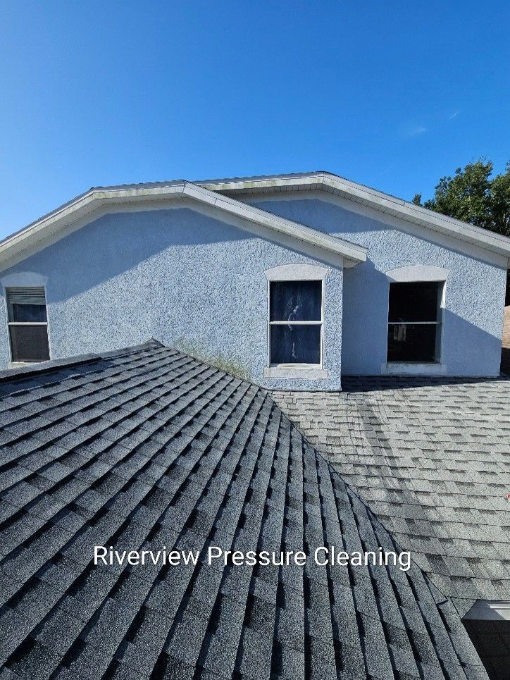 House in Riverview with algae, mold, dust, and pollen on exterior walls and fascia before house pressure washing.