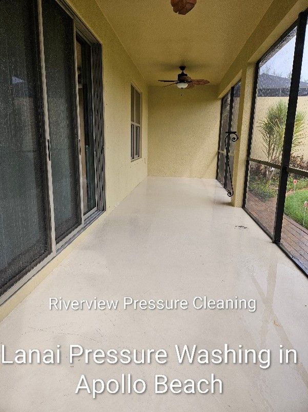 Clean lanai cage, screens, and painted deck after pressure washing in Apollo Beach FL