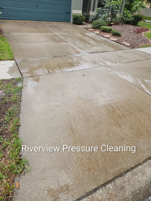 Driveway with algae and mildew before pressure washing in Rivercrest Riverview FL