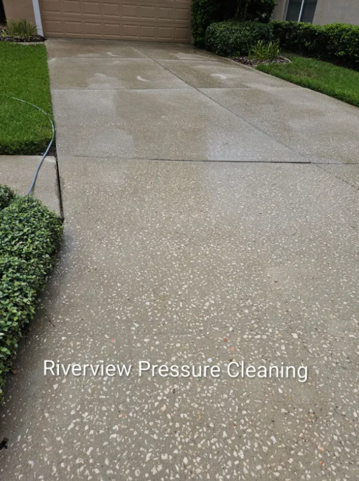 Algae and mildew buildup on driveway in Valrico FL