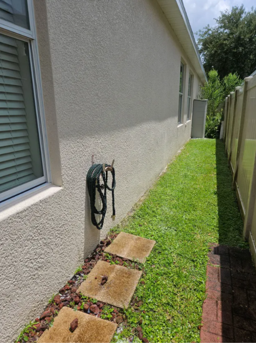 House with black algae buildup along grass line in Avelar Creek Riverview
