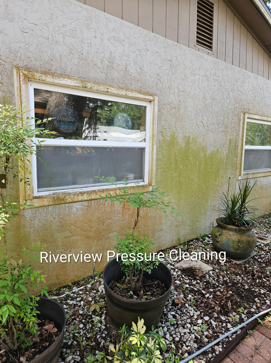 House in Riverview with heavy algae buildup on shaded walls and fascia