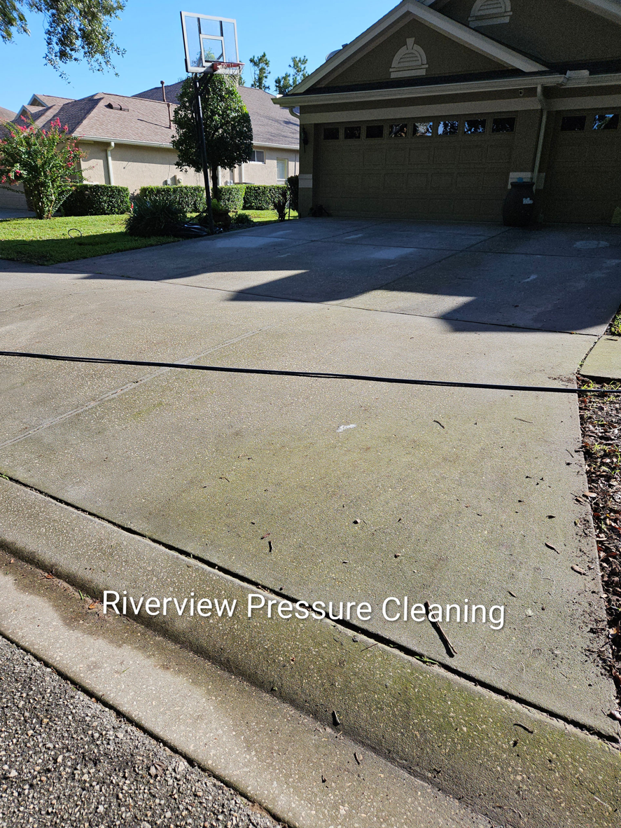Algae and dirt buildup on driveway and sidewalks in FishHawk Lithia