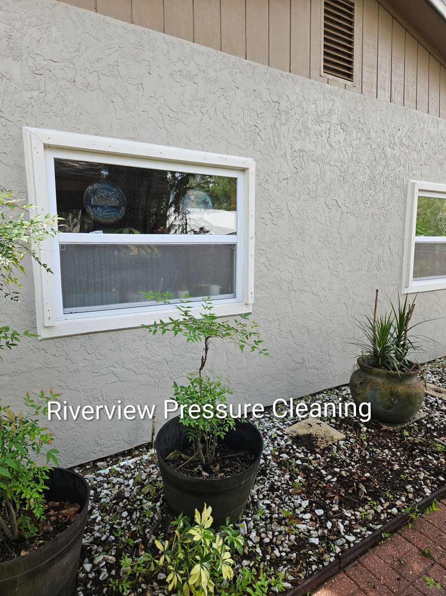 House in Riverview with heavy algae buildup on shaded walls and fascia