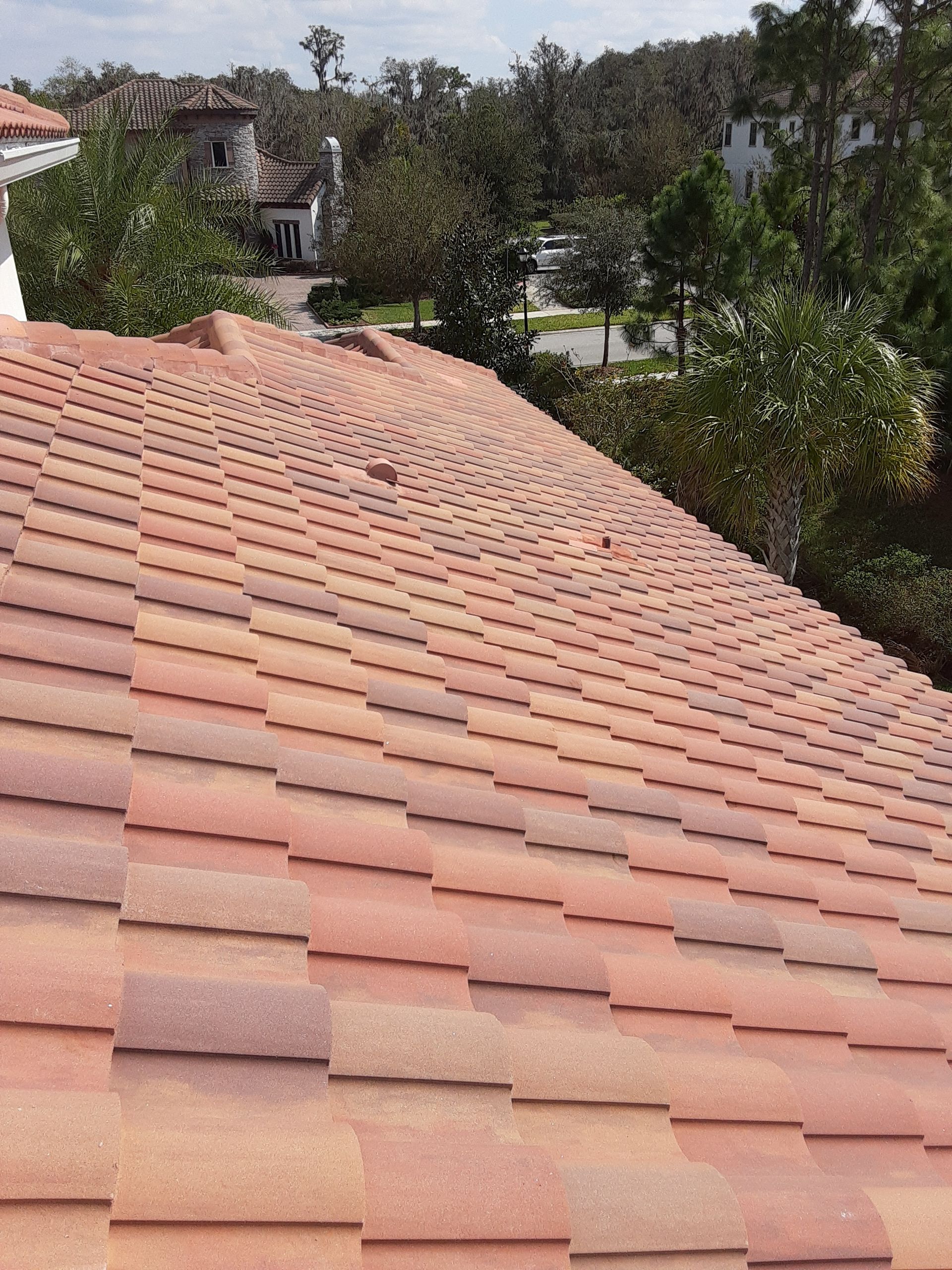 A close up of a tiled roof with trees in the background
