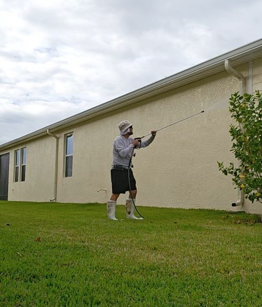 House pressure washing in Apollo Beach to remove pollen and dirt