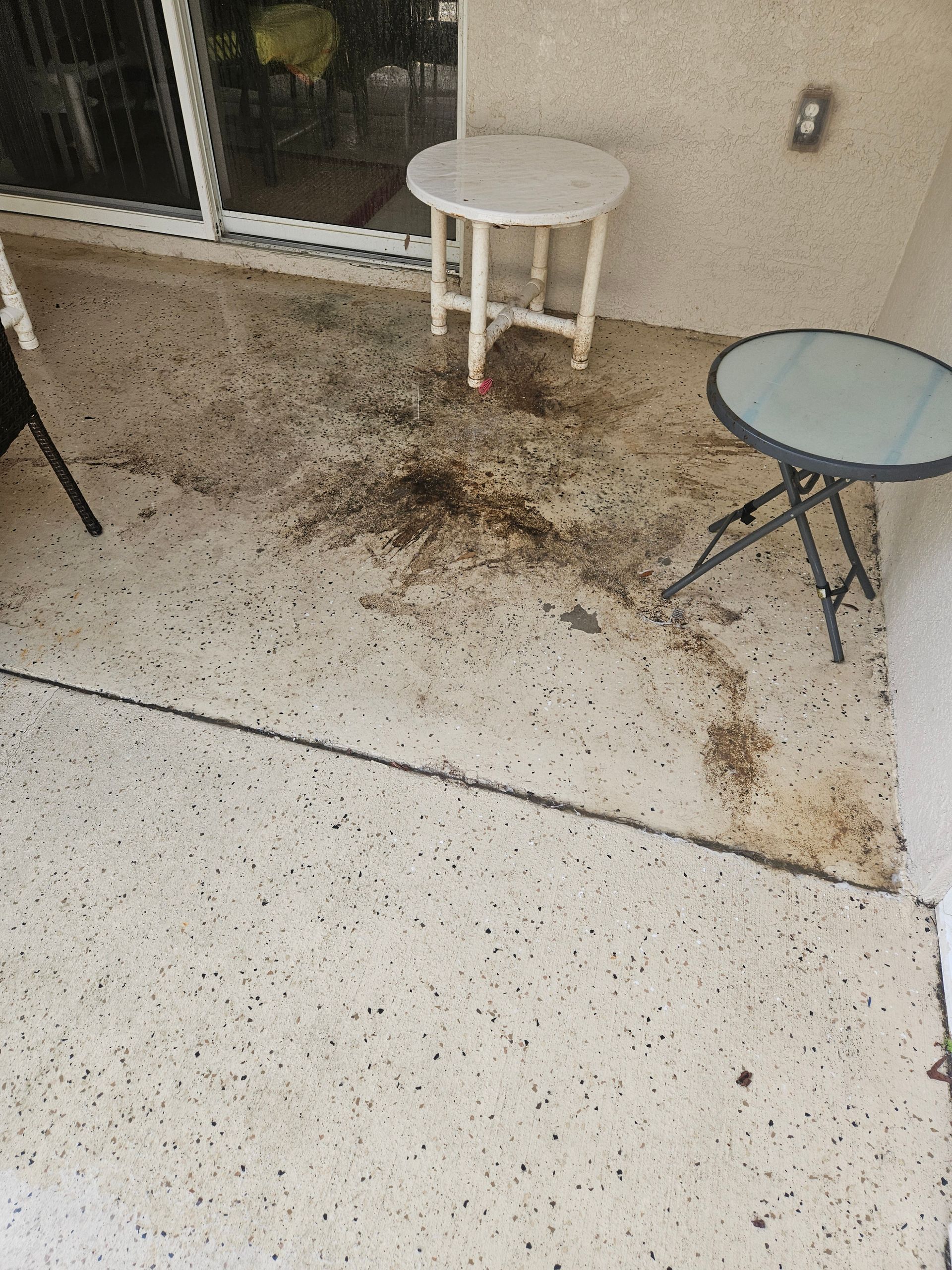 Black mold on lanai floor in Lithia, FL