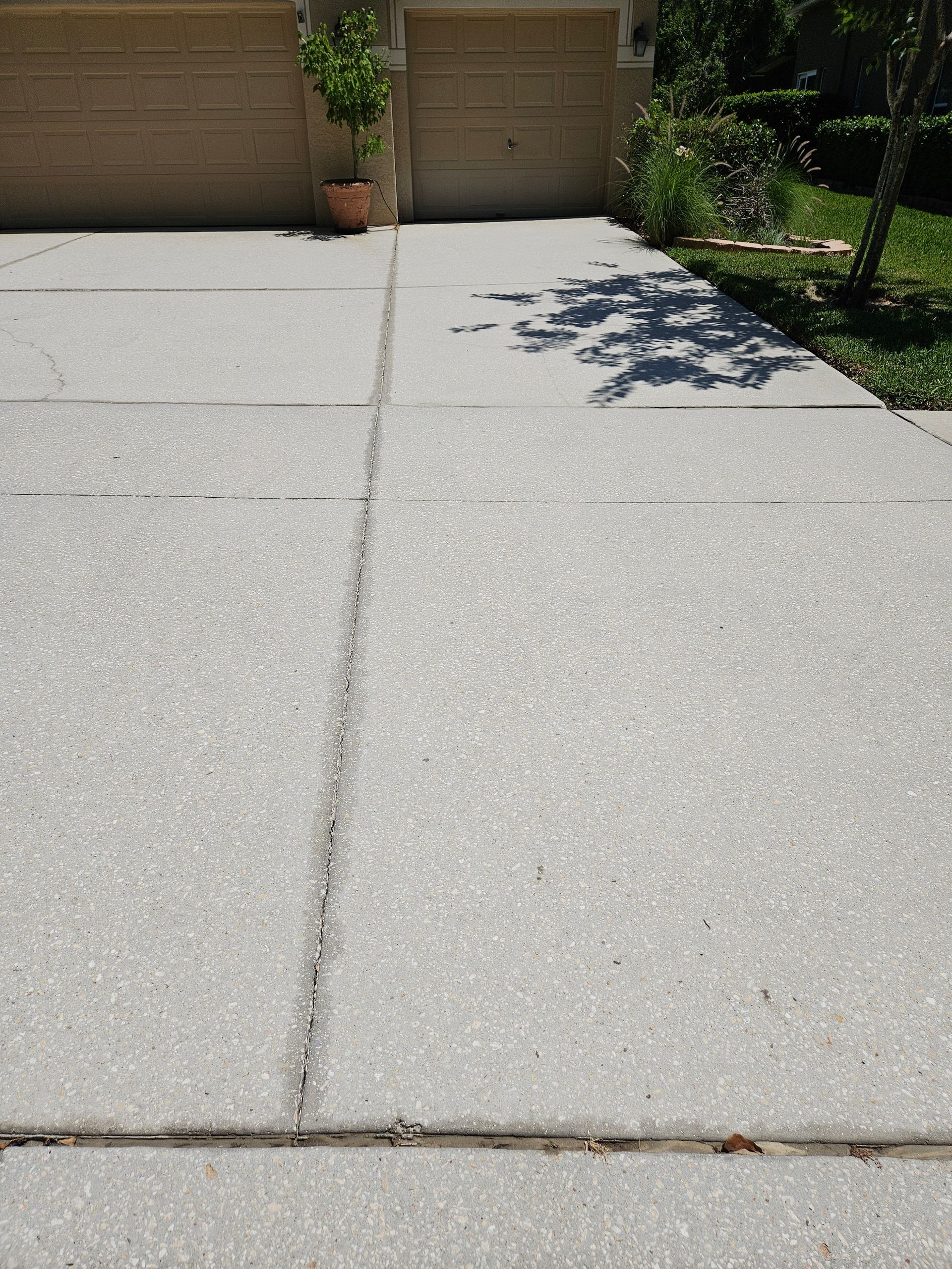 There is a potted plant in the middle of the driveway.