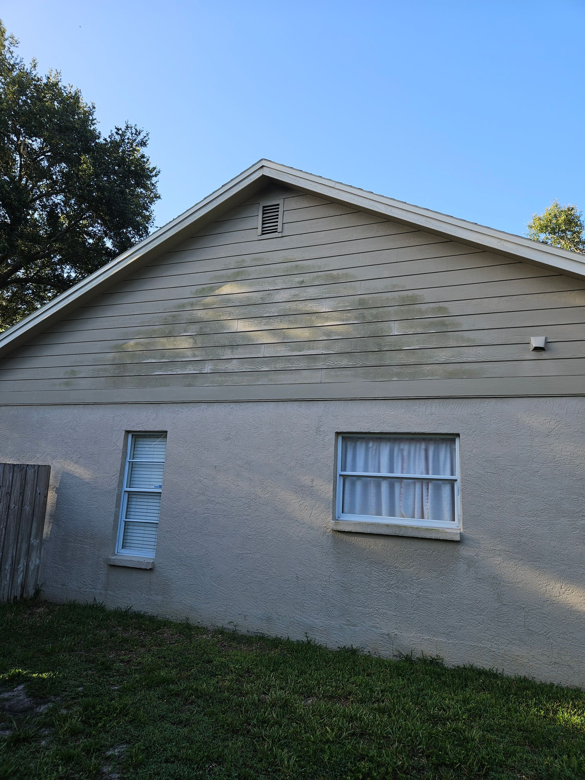Algae growth on house prior to pressure washing in Riverview, FL