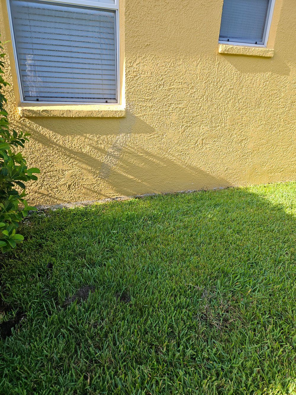 Driveway and front walkway in dappled sunlight, with a house entrance and lawn beside it.