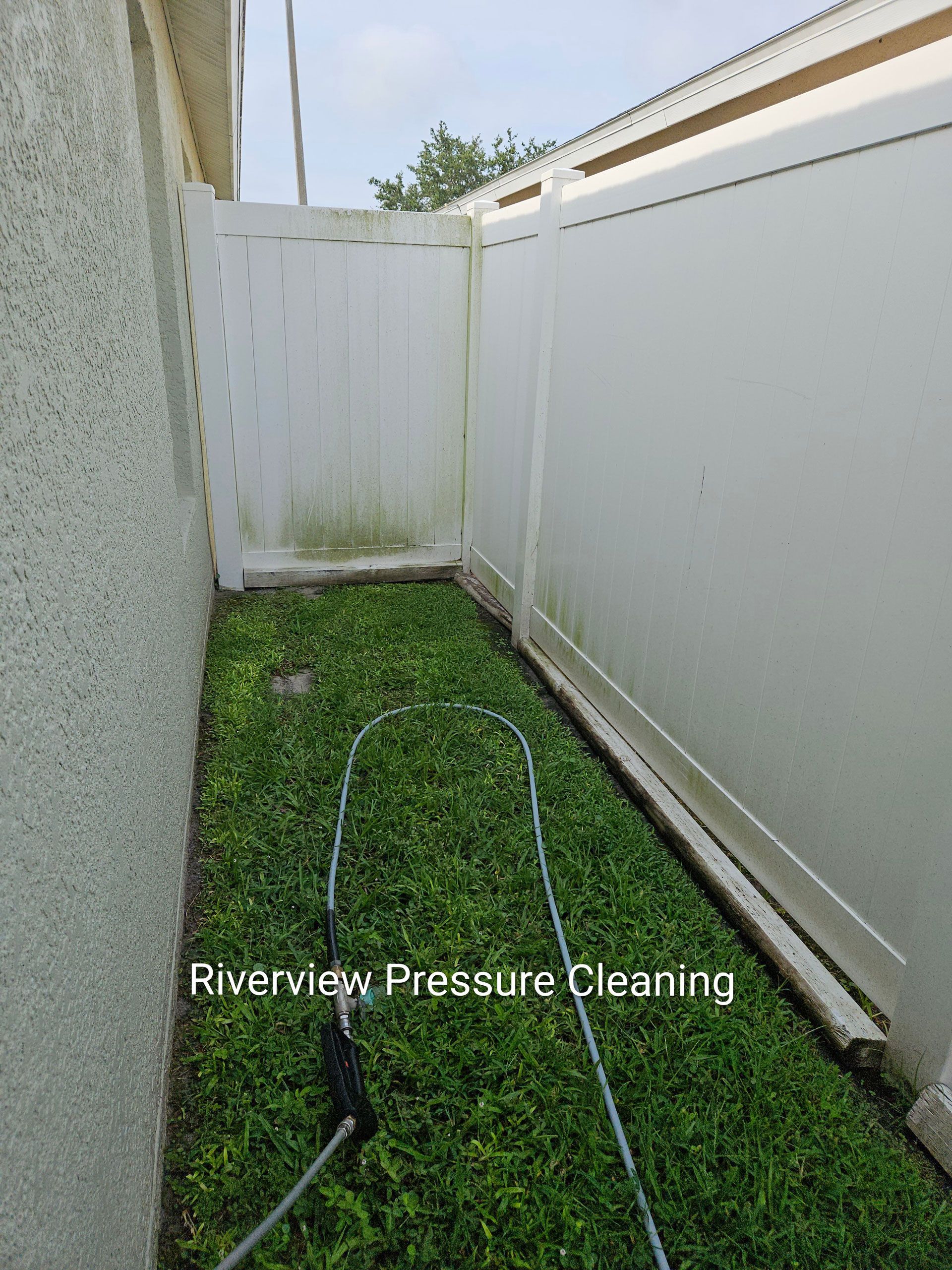 Vinyl fence in Riverview with green algae and mildew before pressure washing