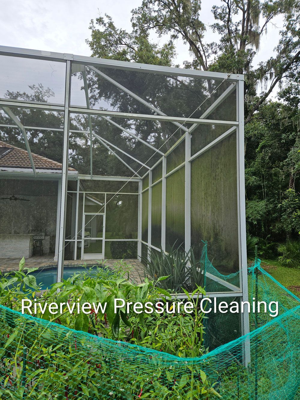 Pool cage in Lithia with algae and mildew covering the screens and deck before pressure washing