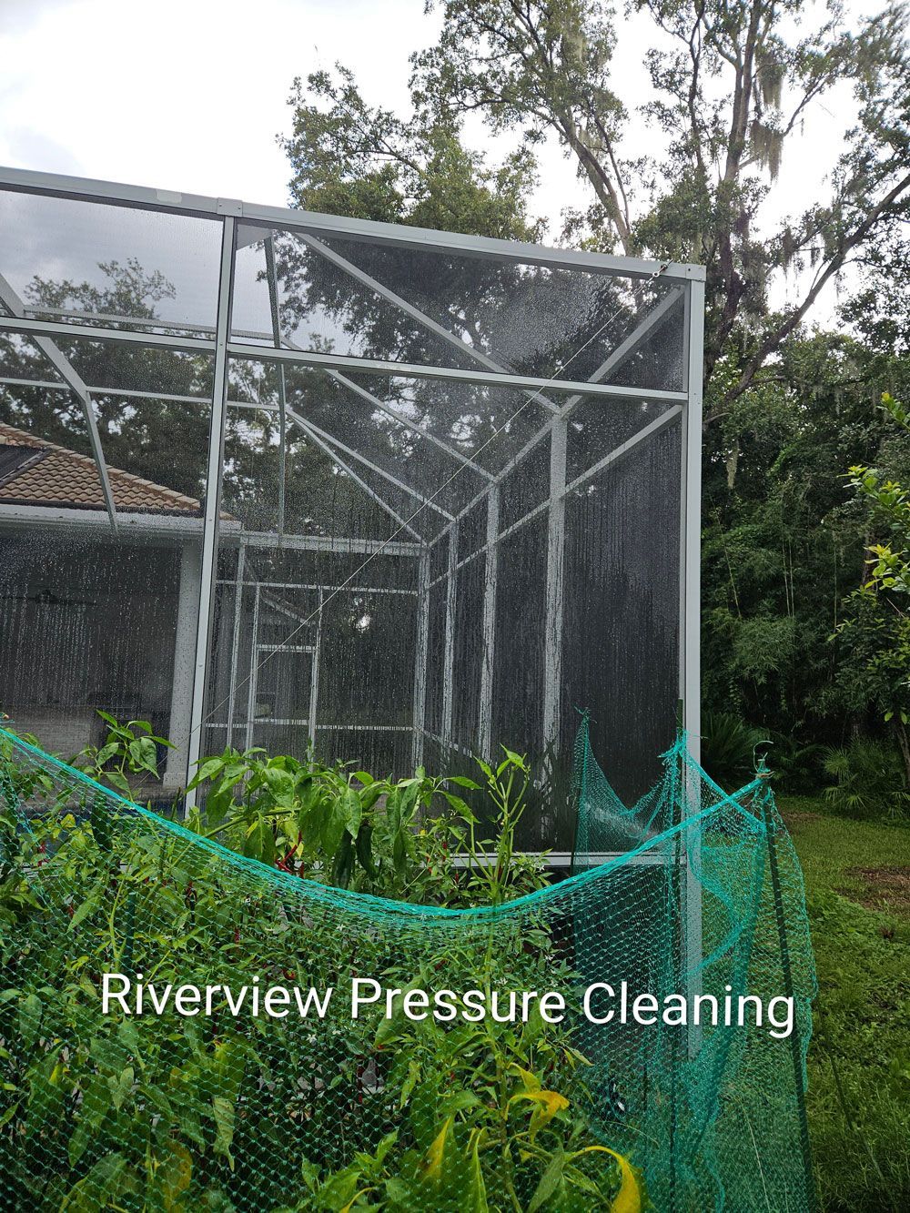 Clean pool cage, screens, and pool deck after professional pressure washing in Lithia