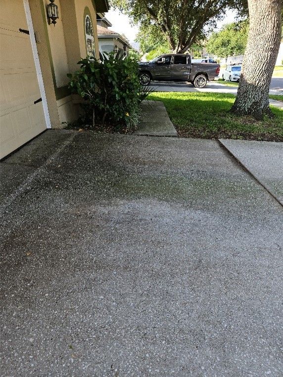 Shaded driveway developing algae faster than sunlit concrete