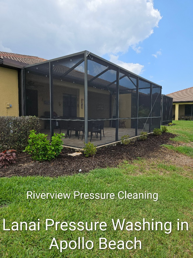 Dust, dirt, and algae buildup on a lanai cage, screens, and pavers in Apollo Beach FL