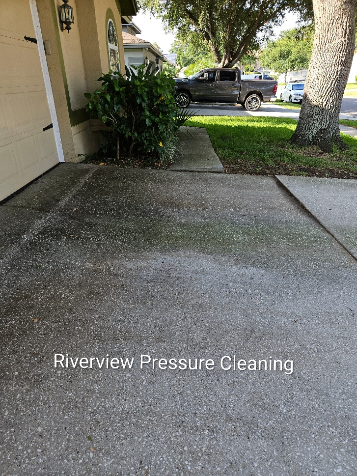 Paver driveway and walkway with algae and mildew buildup under an oak tree in Brandon FL