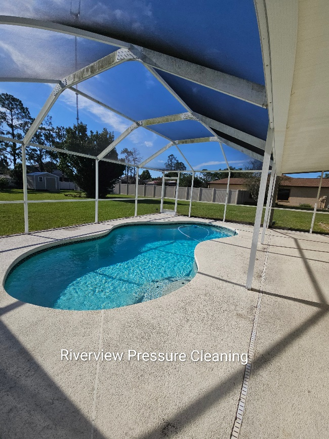 Pool cage in Riverview with mildew, algae, and dirt buildup on screens and upper beams before cleaning