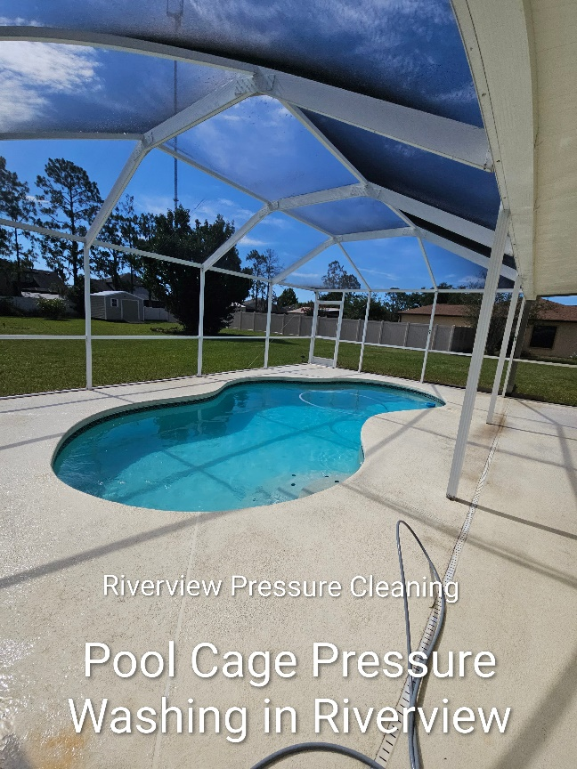 Clean pool cage and painted pool deck in Riverview after professional pressure washing service