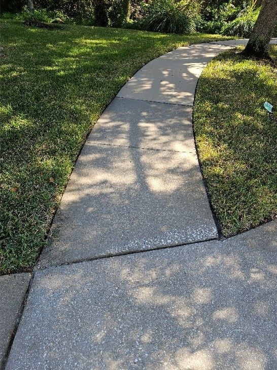 Sidewalk before and after pressure washing showing algae removal