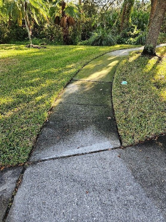 Sidewalk before and after pressure washing showing algae removal
