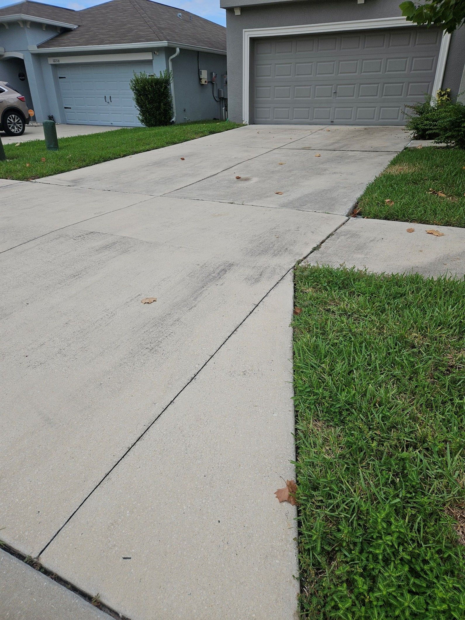 Driveway developing algae and mildew stains during Florida's wet season