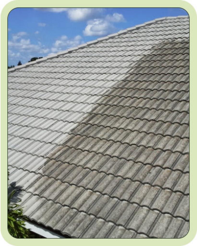Apollo Beach roof cleaning
