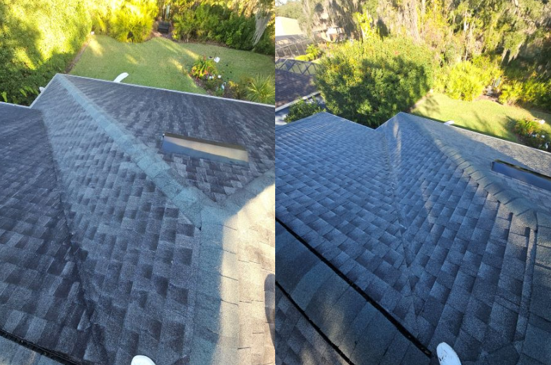 Remove black mold from shingles in Lithia