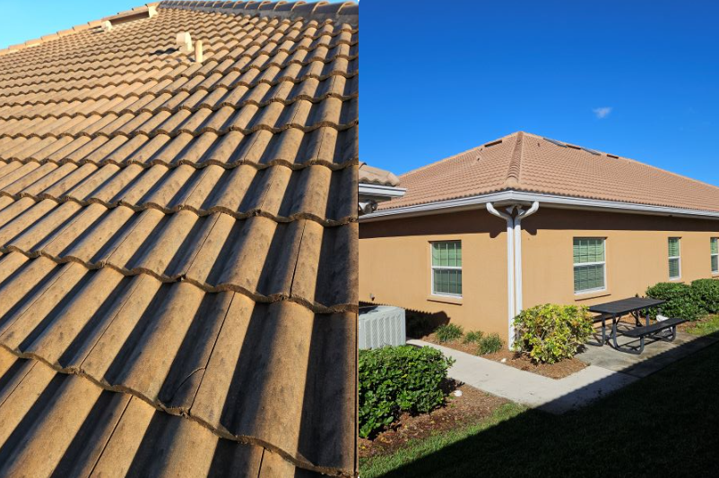 Soft wash roof cleaning on commercial building in Brandon FL