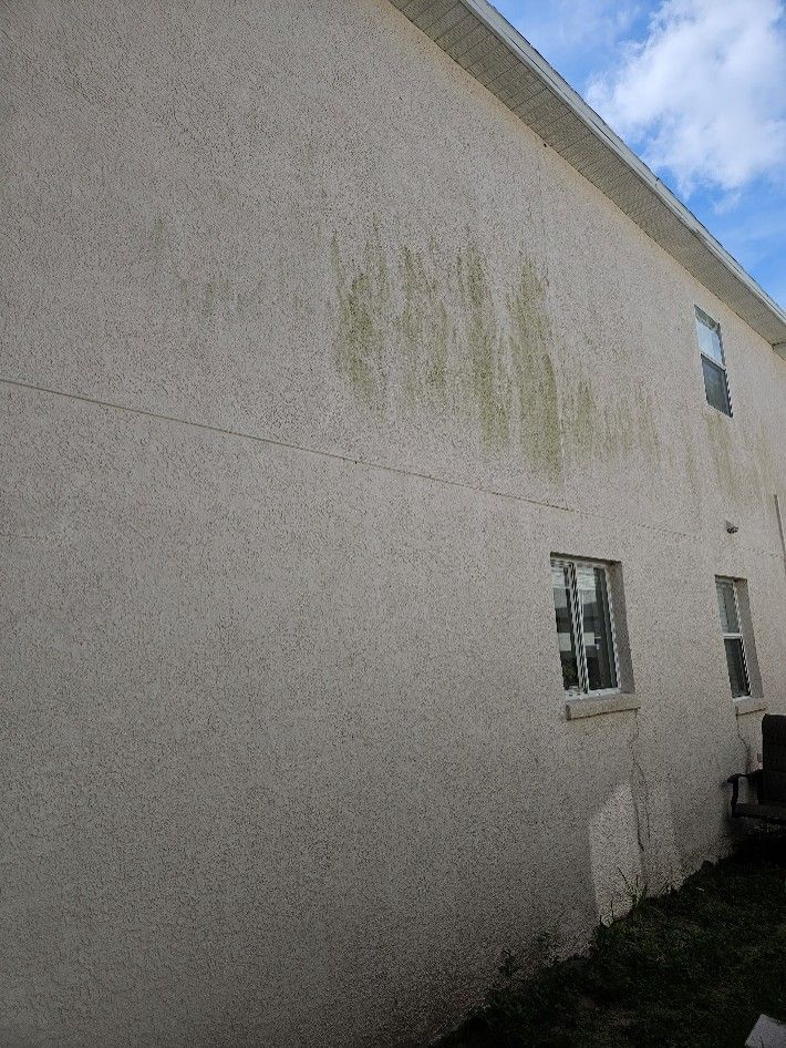 Side of a beige house with green algae streaks near a window under a blue sky.