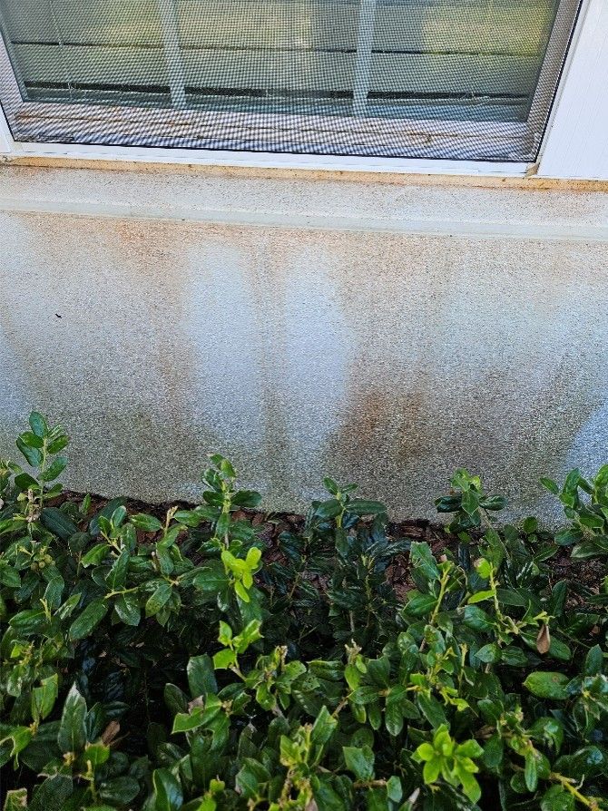 Stained exterior wall below a window, with green shrubs along the base.