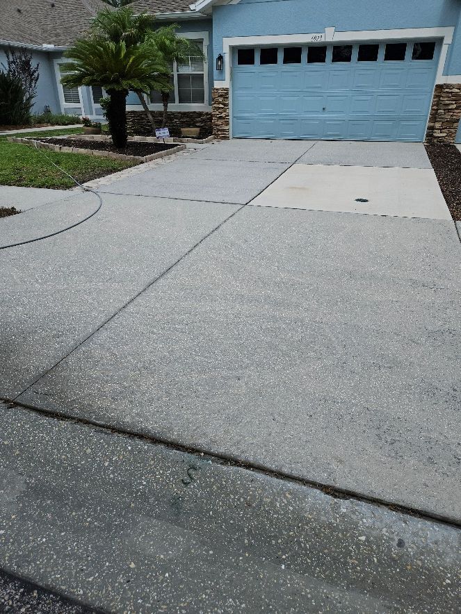 Suburban house driveway with a blue garage door and a palm tree by the front entrance
