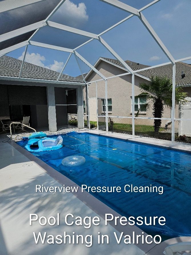 Pool cage in Valrico with pollen, dirt, and spiderweb buildup on screens and enclosure