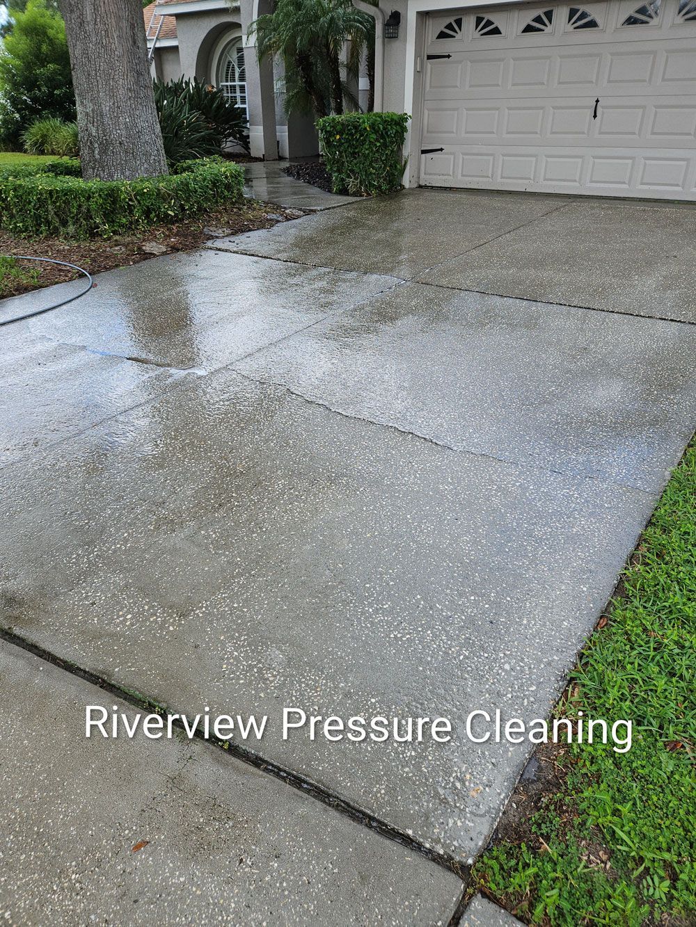 Algae and mildew buildup on driveway and walkway in Brandon FL
