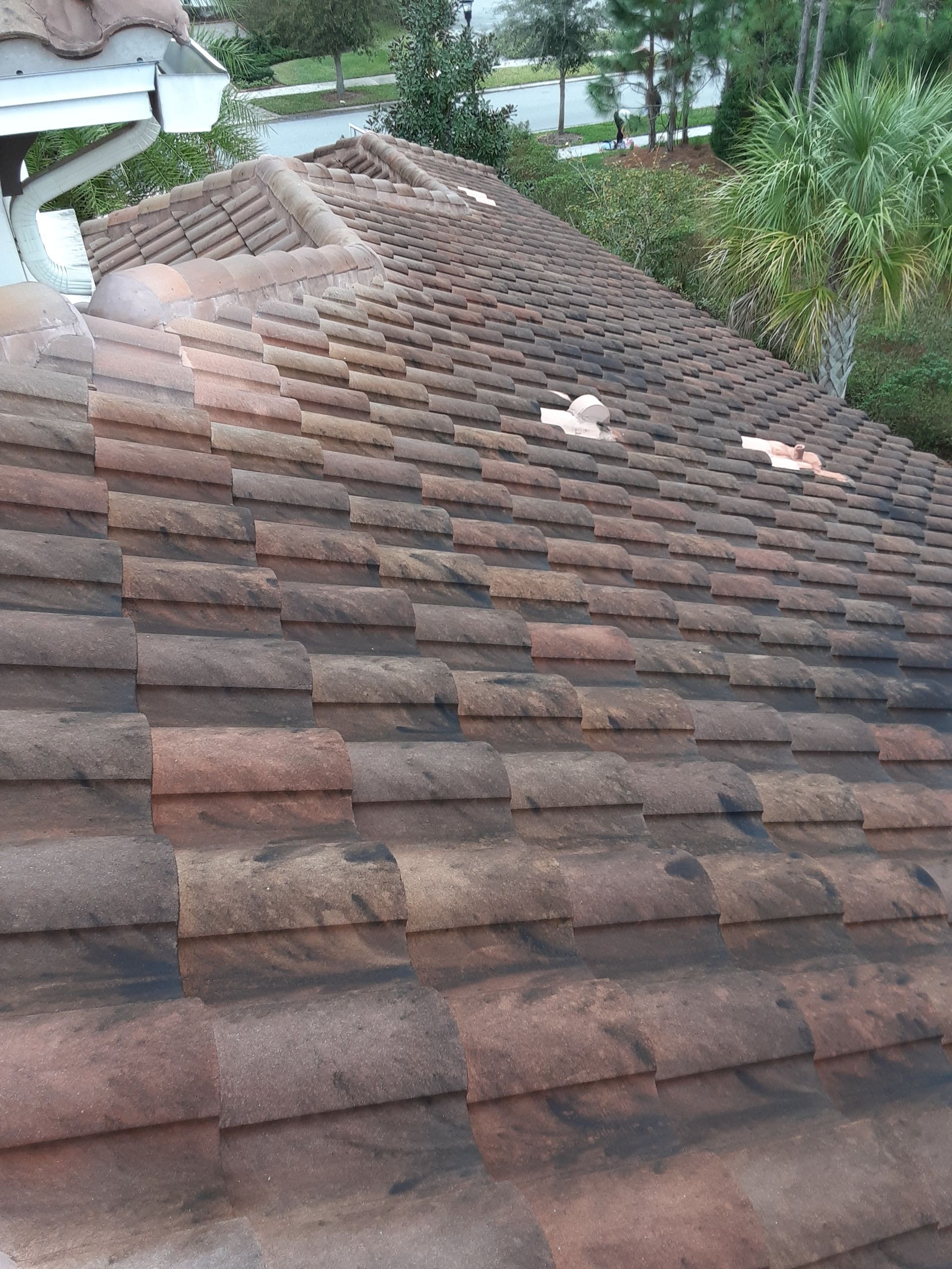 Roof cleaning in Lithia, FL using soft wash method to remove black mold
