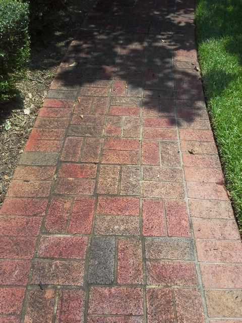 Brick walkway cleaning to remove dirt and algae
