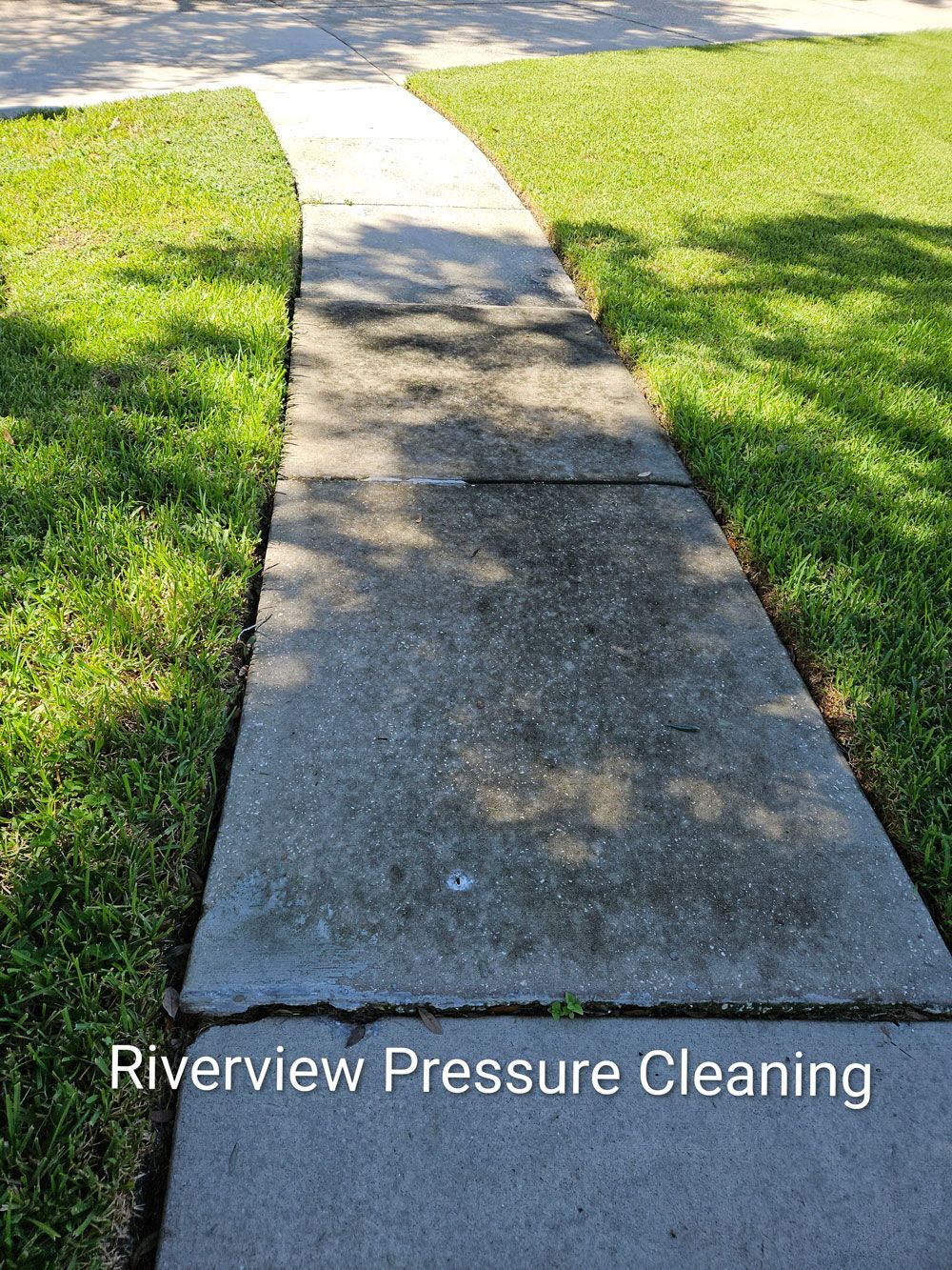Dark algae and mildew buildup on driveway in Creek Side Riverview FL